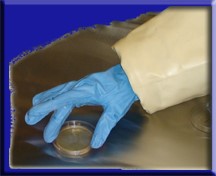 AESS594 Surface Sampling Sterile Media Contact Plates -- $29.05/sleeve of 10-image